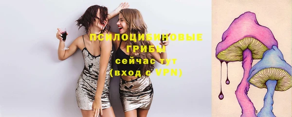 наркотики Новодвинск